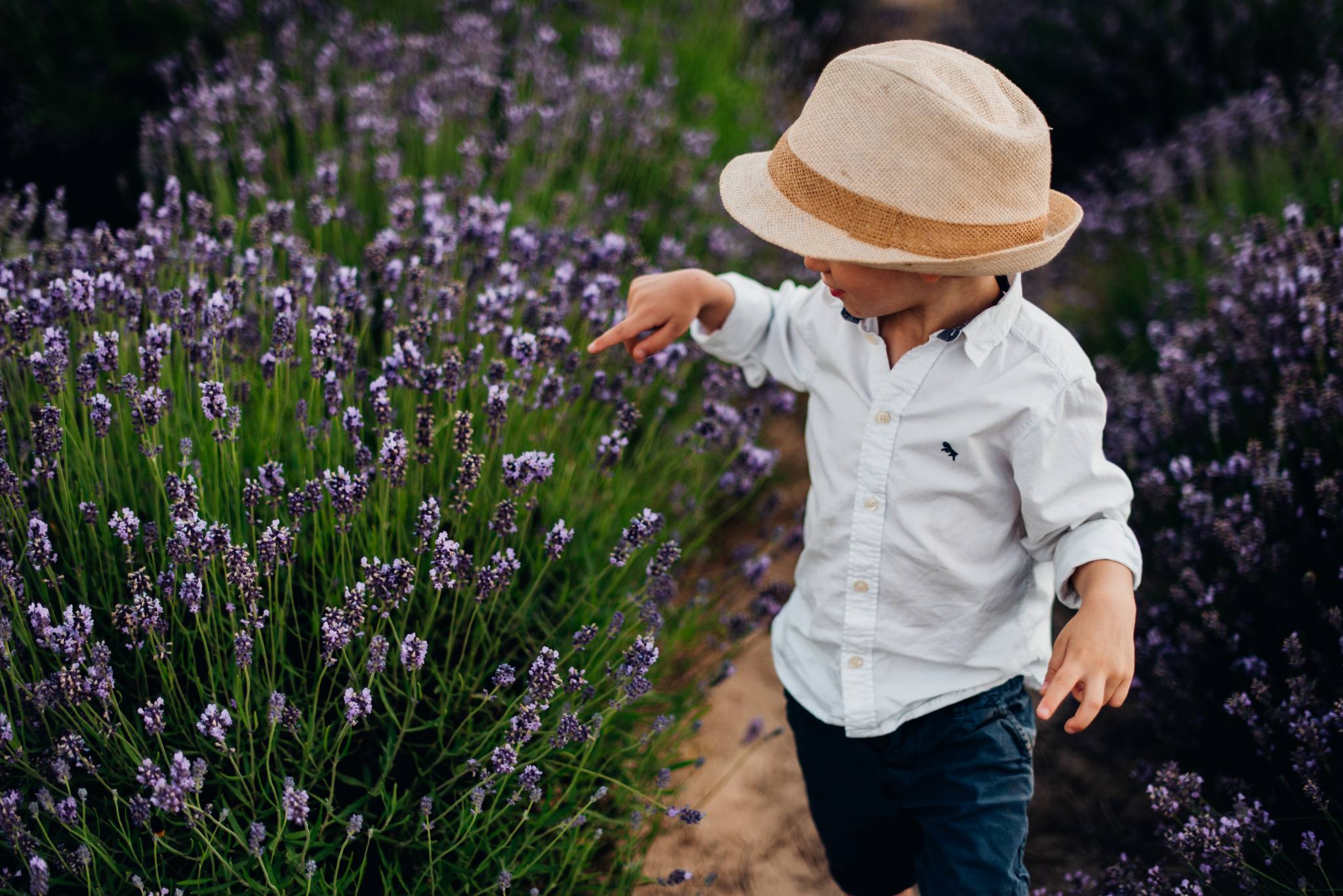 Sesja lawendowa Jasiu i Filip132